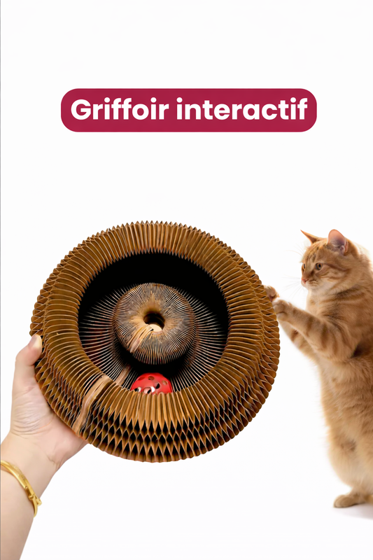 Griffoir intéractif pour chat