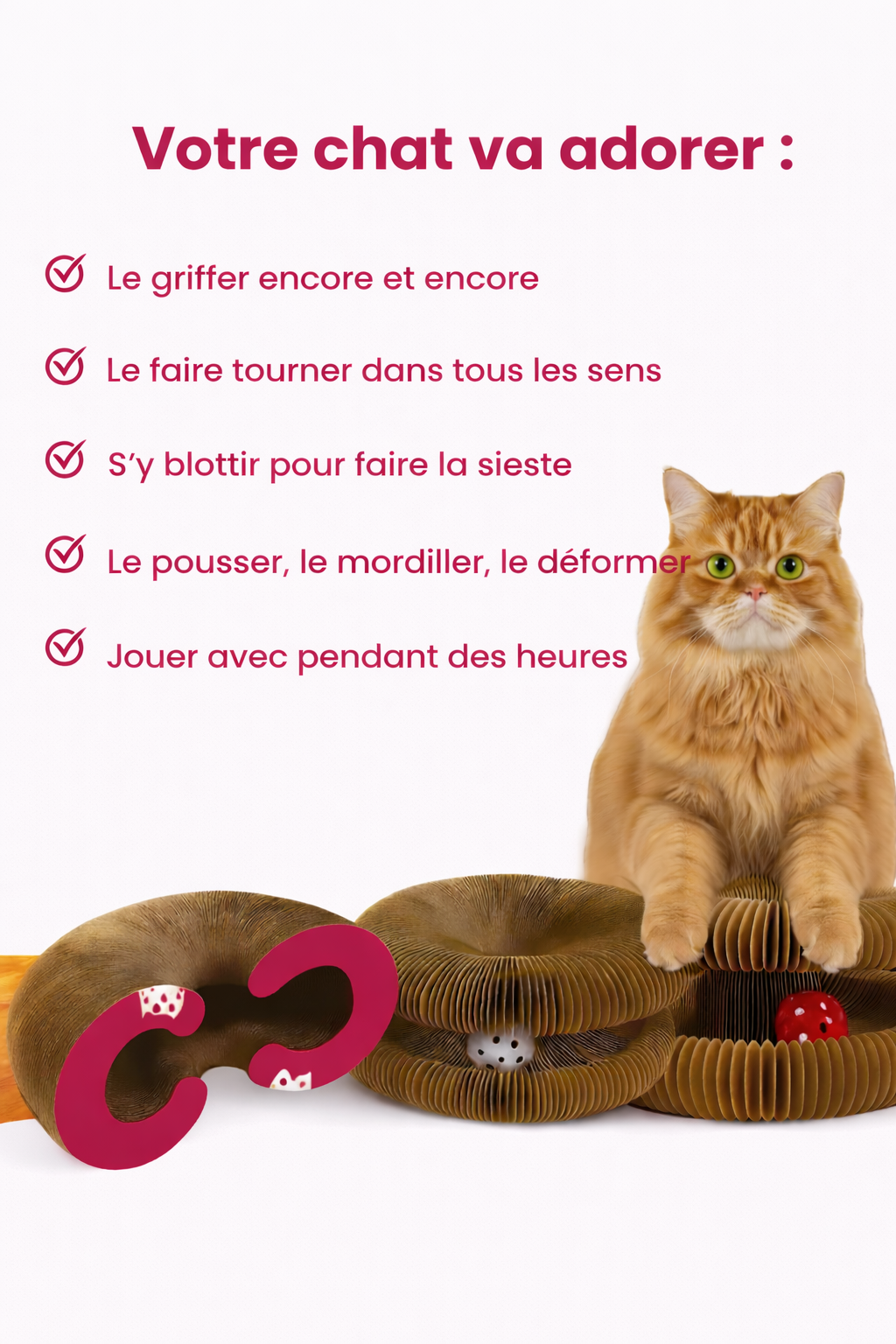 Griffoir intéractif pour chat