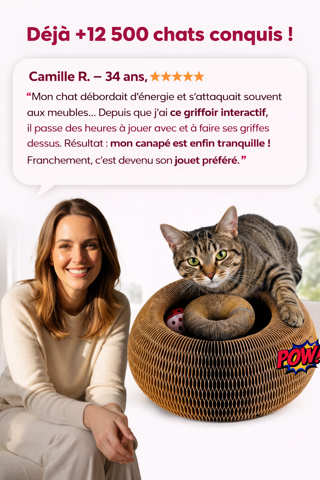 Griffoir intéractif pour chat
