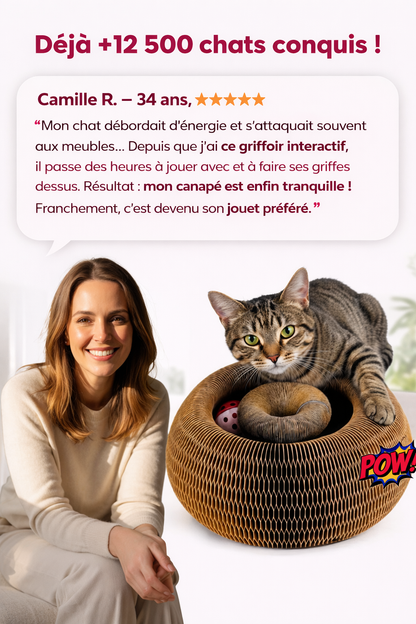Griffoir intéractif pour chat