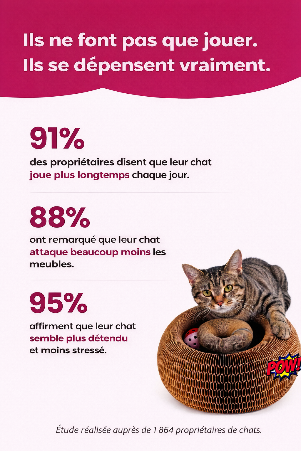 Griffoir intéractif pour chat