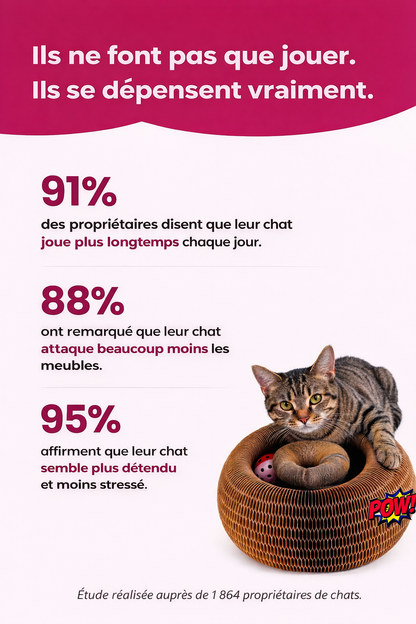 Griffoir intéractif pour chat