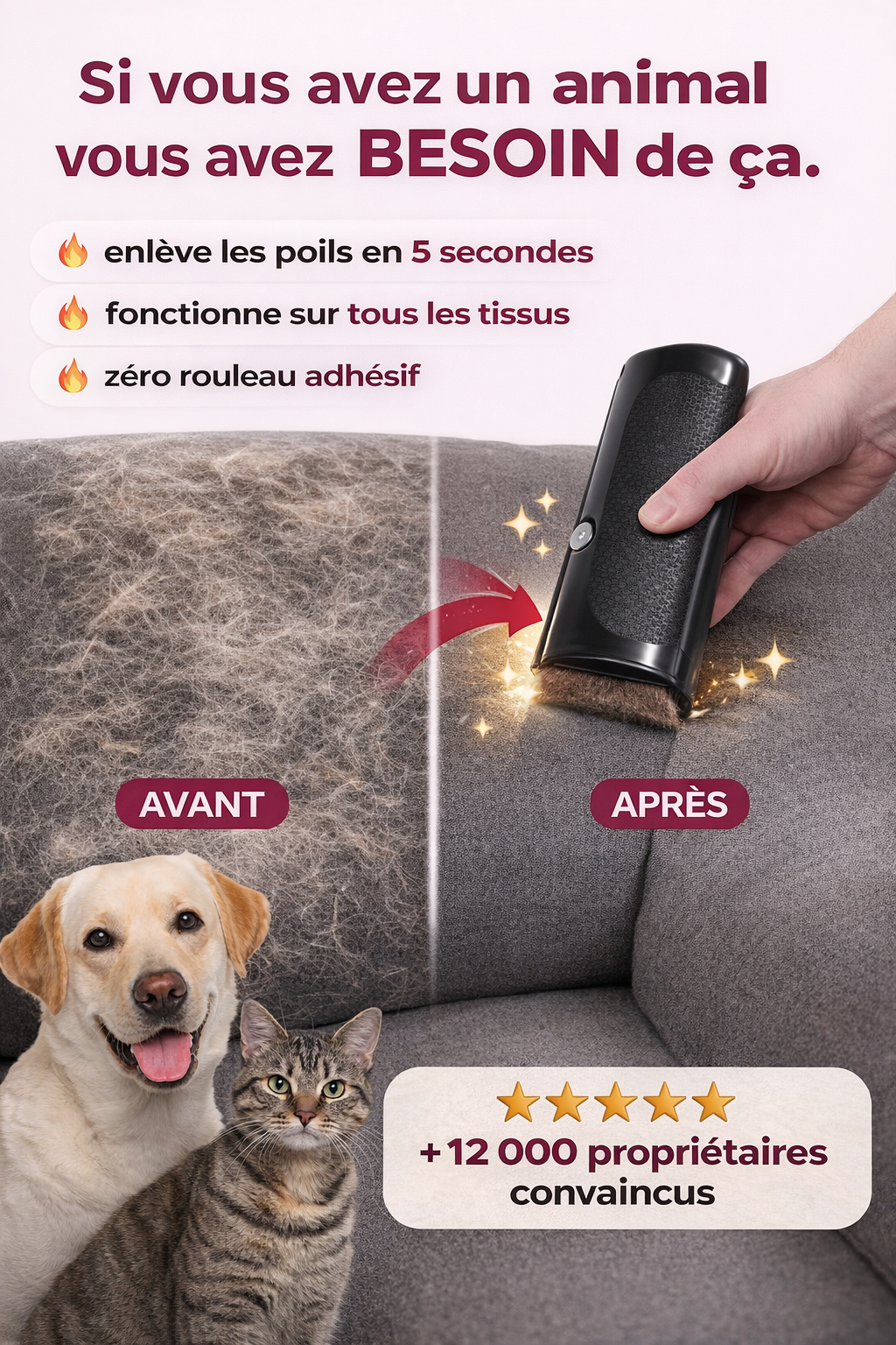 Brosse magique