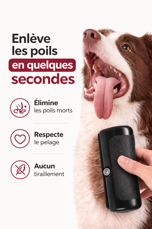 Brosse magique